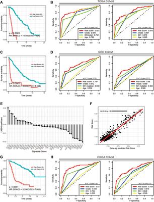 Metabolism-Associated DNA Methylation Signature Stratifies Lower-Grade Glioma Patients and Predicts Response to Immunotherapy